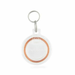 PETSAFE Extra Key for PPA19-16145 - White - For Cats