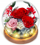 Igavene roos klaasis led-valgusega &ndash; kingiidee s&uuml;nnip&auml;evaks, aastap&auml;evaks