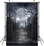 Lywygg 5 x 7 jalga Halloweeni Kuu&ouml;&ouml; Halloweeni Dekoratsioon Vin&uuml;&uuml;lfoto Taust Fotograafia Taust Stuudiorekvisiidid Cp-52