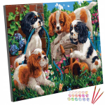 Numbrite j&auml;rgi maalimine komplekt raamil maalimiseks koer koerad 40x50cm