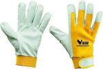 Vigor Sports kerged kindad ce2