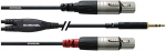 Cordial Cfy 1.8 Wff Y-adapteri kaabel 3.5 mm stereo pistik kullatud kuni 2 x Xlr emane 1.8 m