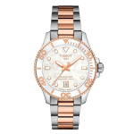 copy of Tissot Seastar 1000 36MM T120.210.22.051.00 T120.210.22.111.00