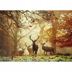 M&otilde;istatus Heye 1000 det. Magic Forest Deer 50x70cm