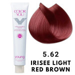 Young Color You Juuksev&auml;rv pleksi, keramiidide ja kinoa ekstraktiga 5,62 100 ml