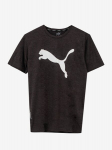 PUMA - Meeste l&uuml;hikeste varrukatega T-s&auml;rk, TRAIN FAV HEATHER CAT