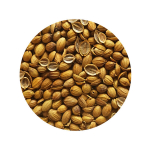 Koriander (terved seemned), 500g