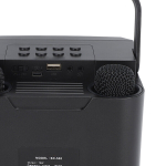 Ne&scaron;iojamas karaokės aparatas vaikams ir suaugusiems, &bdquo;Bluetooth&ldquo; garsiakalbis su 2 belaidžiais mikrofonais, RGB lemputės, namų vakarėlių karaokės sistema, juoda