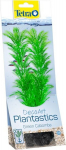 Plastist taim Tetra Gr Cabomba, keskmine