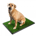 Suur koerte tualett Pro Pet, 75x50x3 cm, roheline