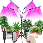 LED-taimelamp 4-tunnise taimeriga valgustuseks, kaugjuhtimispult, nenustatyta