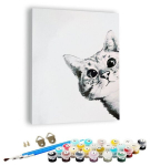 Numbrite j&auml;rgi maalimine &ndash; pilt, v&auml;rvid, pintslid, komplekt - Cat in the White