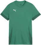 Puma T-s&auml;rk Teismelistele TeamGoal Matchday Jr Green 705748 05