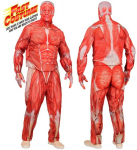 "ANATOMY FAST SUIT" (jope, p&uuml;ksid, kindad, mask)