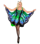 "LIBLIKAS" (seelik, tiivad, antennid)