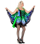 "LIBLIKAS" (seelik, tiivad, antennid)