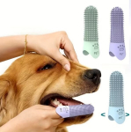 Koerte hambahari, 3 tk