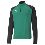 PUMA meeste jalgpallijakk PUMA teamLIGA 1/4 lukuga top Pepper Green - 65723605, roheline