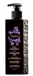 Vedelik&scaron;ampoon Saphira Divine Moisturizing kuivadele juustele