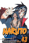 Naruto, Vol. 43: The Man With The Truth, V. 43