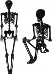Must skelett 90cm - Halloweeni kaunistus