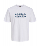 Jack & Jones meeste T-s&auml;rk 12289880*02, valge 5715866831396