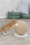 Trixie Cat Scratcher Ball