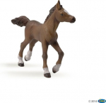 Figurine Poulain anglo-arabe - PAPO - CHEVAUX, POULAINS ET PONEYS - Int&eacute;rieur