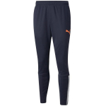Puma meeste p&uuml;ksid teamLIGA Training Pants tumesinised 657242 47, 2XL