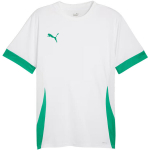 Puma teamGoal Matchday Jersey meeste s&auml;rk valge-roheline 705747 15