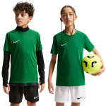 Nike Dri-Fit Park VIII laste s&auml;rk, roheline HV8182 302