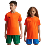 Nike Dri-Fit Park VIII laste s&auml;rk oranž HV8182 819