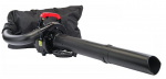 Bensiinimootoriga lehepuhur&ndash;imur 3,5 hj 4in1 RED TECHNIC RTODL0058