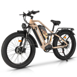 Elektrijalgratas Philodo Jumbo 26" Pruun
