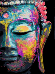 Maalimiskomplekt numbrite j&auml;rgi Buddha 50x65