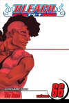 Bleach, Vol. 66: Sorry I Am Strong, 66