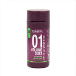 Vol&uuml;&uuml;miandev hooldus Volume Dust Salerm (10 g)