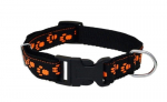 Kaelarihm lemmikloomadele Amibelle Paw, oranž