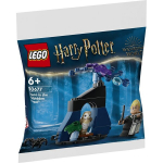 LEGO Harry Potter Draco keelatud metsas