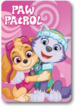 Fliispleed Paw Patrol