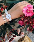 Naiste k&auml;ekell Daniel Wellington Petite Dover, valge/roosa kulla v&auml;rv