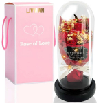 Igavene roosibukett klaaskuplis koos kaasasolevate LED-tuledega, Livman