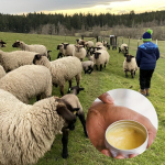 Tinovo Uno k&auml;tekreem lanoliini ja meega, 30g.