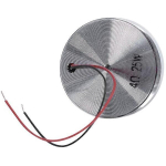 Audio kaasaskantavad k&otilde;larid 50 mm 4ohm 25W koguvahemiku k&otilde;lari heli heli super boss neodmium h&otilde;be h&otilde;be h&otilde;bedane h&otilde;be