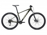 M&auml;gi jalgratas Giant Talon 2 29" Phantom Green &ndash; XL