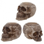 Teek&uuml;&uuml;nalde hoidja - Skull