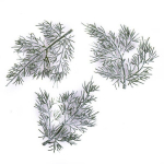 Dekoratiivne element "Tujapuu oks", 13 cm, 3 tk.