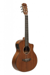 Elektroklassiline kitarr James Nelighan OLO-CE N