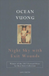 Night Sky with Exit Wounds