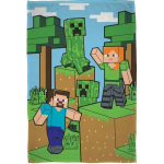 Minecraft pleed 100*150cm